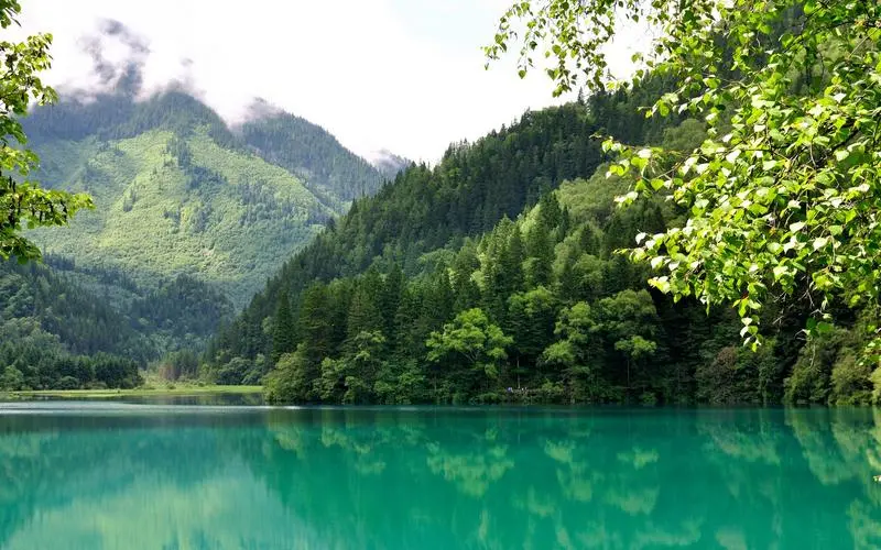 高性能可靠性
